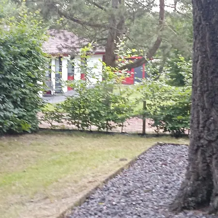 Ferienhaus Uelsen בית נופש *